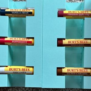 New Bundle of 6 Burt's Bees Lip Balm